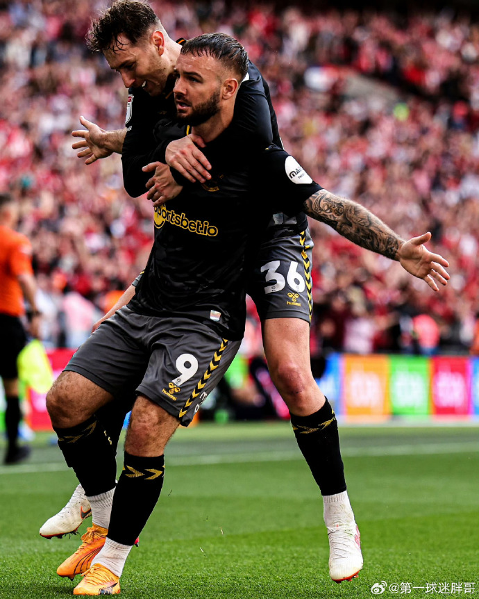 南安普顿球员因伤退出国家队比赛了吗