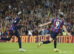 IMsports平台-波兰队有谁