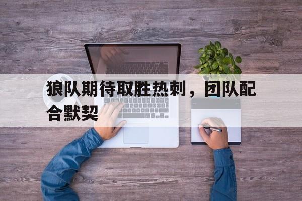 IM电竞官网-狼队vs热刺赛后数据