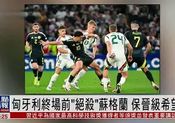 IM电竞游戏-法国 德国 欧洲杯